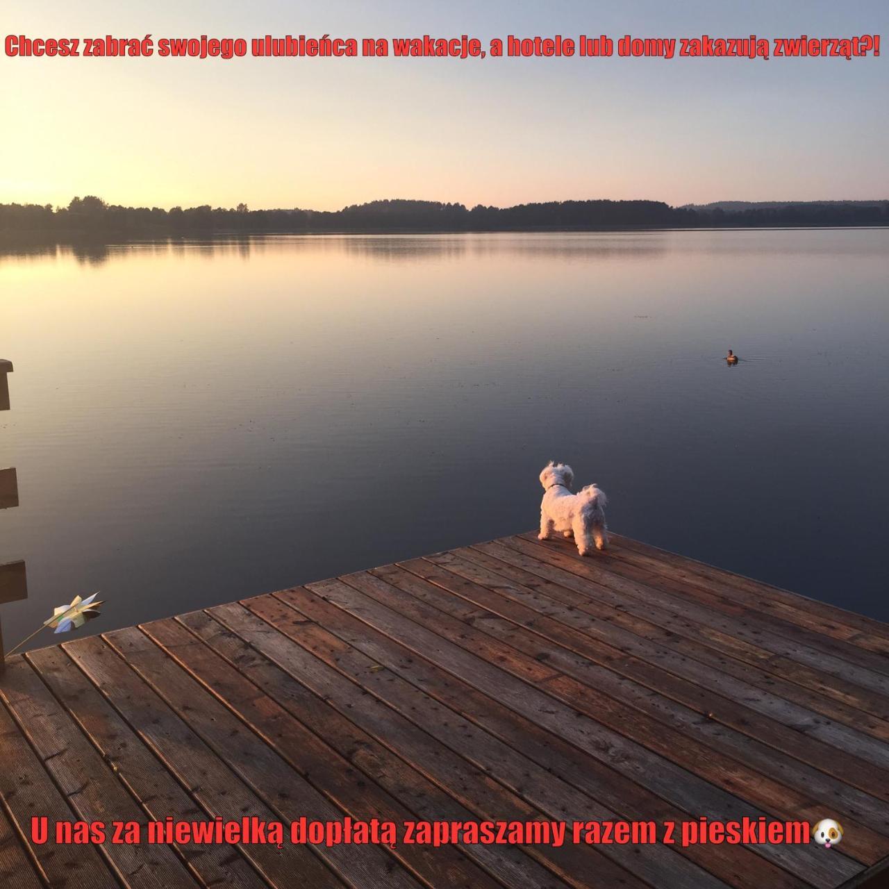 Mazurska Villa Deluxe W Pasymiu Z Prywatnym Pomostem Na Jezioro Kalwa I Lodzia Na Wylacznosc Najwyzsze Premium W Osada Zamkowa Exterior foto